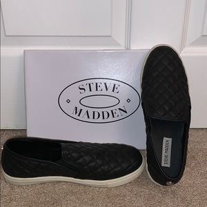 Steve Madden: Ecentrcq